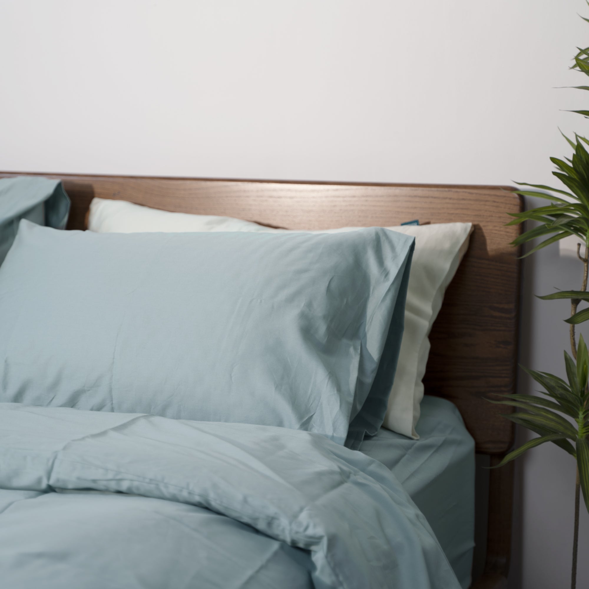 NatureSoft™ 100% Cotton - Fitted Sheet