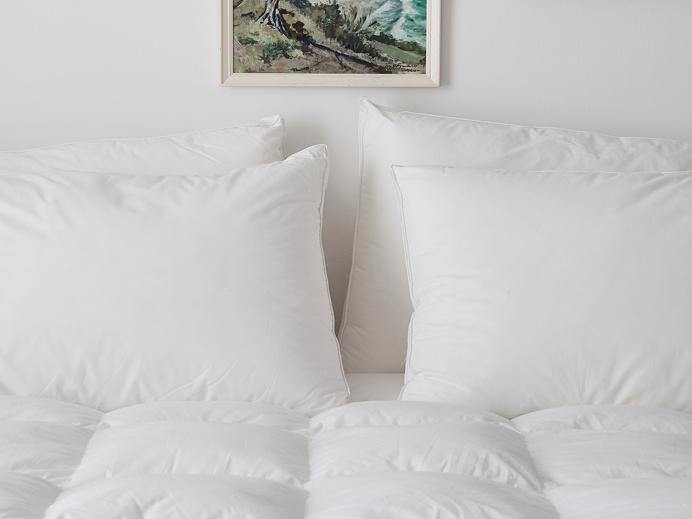 GAIAS Exclusive Manufacturer Pillows Buy 1 Free 1 (Get 2 Unit) Fiber Pillow