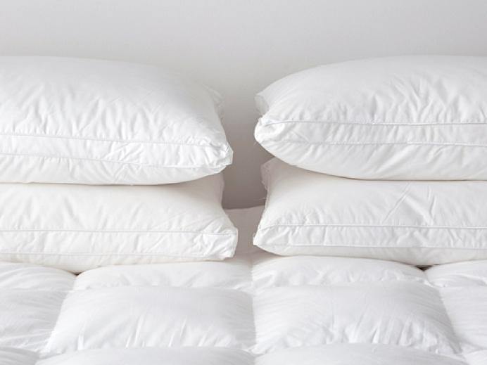 GAIAS Exclusive Manufacturer Pillows Buy 1 Free 1 (Get 2 Unit) Fiber Pillow