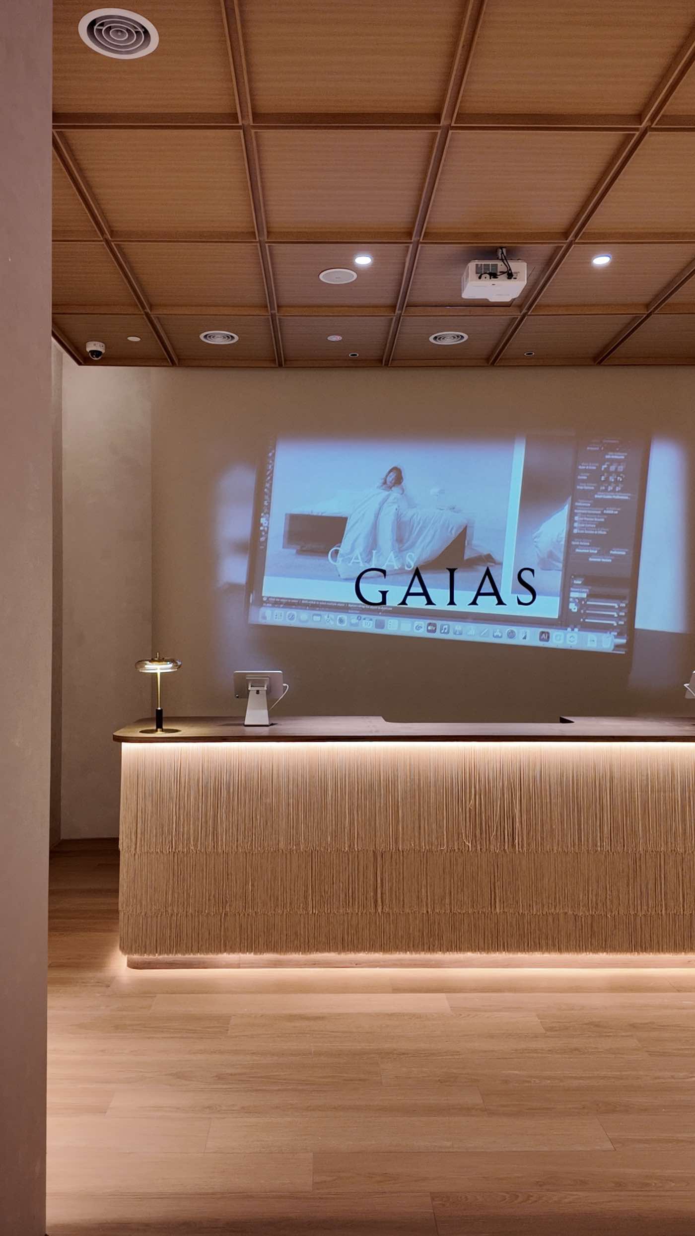 The raffia-fringed check-out counter, with the GAIAS film projected behind